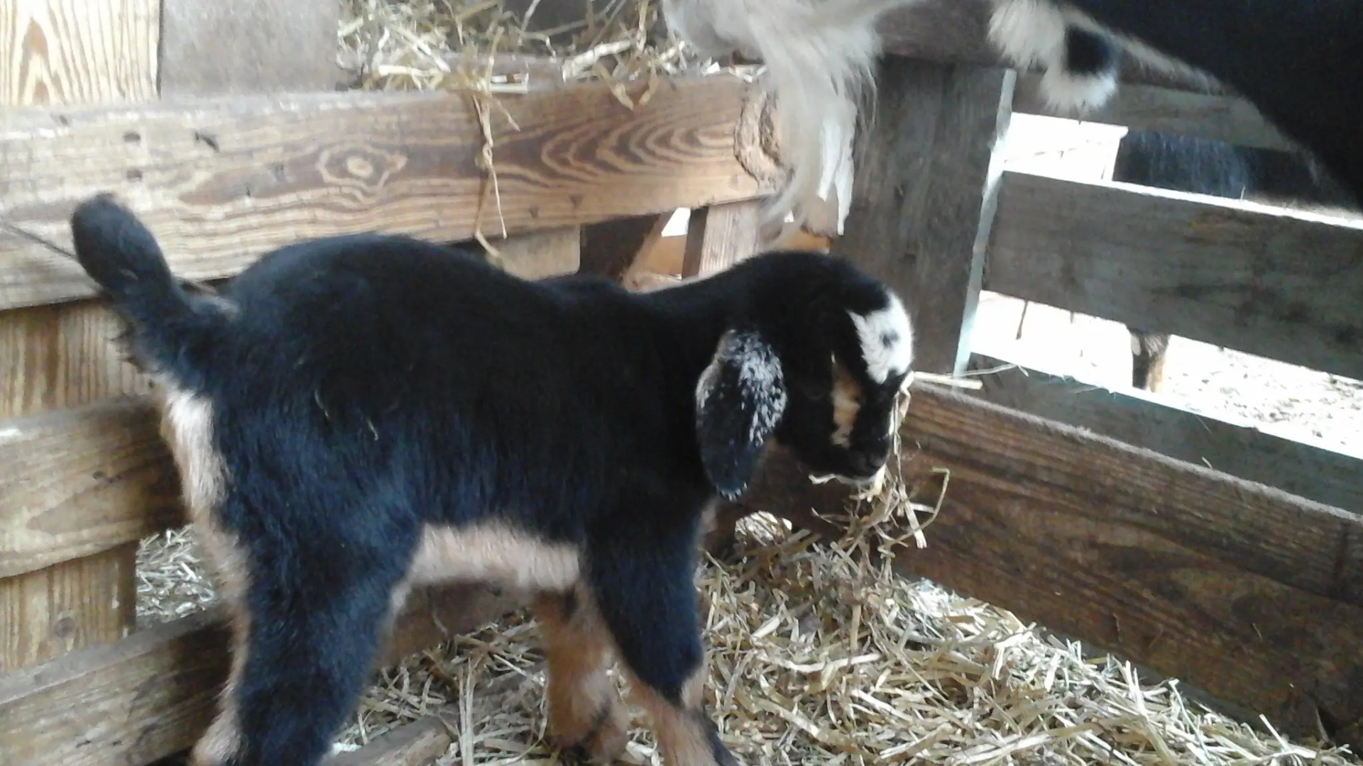 Rents In Canary Guest house