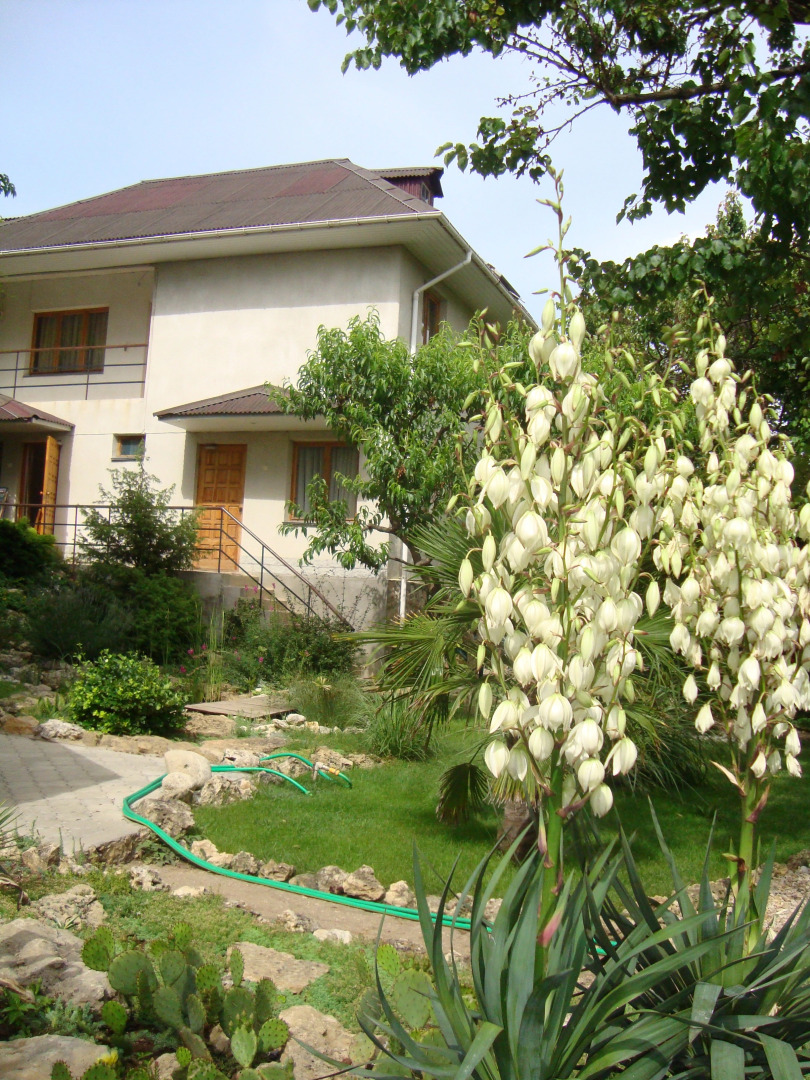 Гостевой Дом Солнечная Ривьера