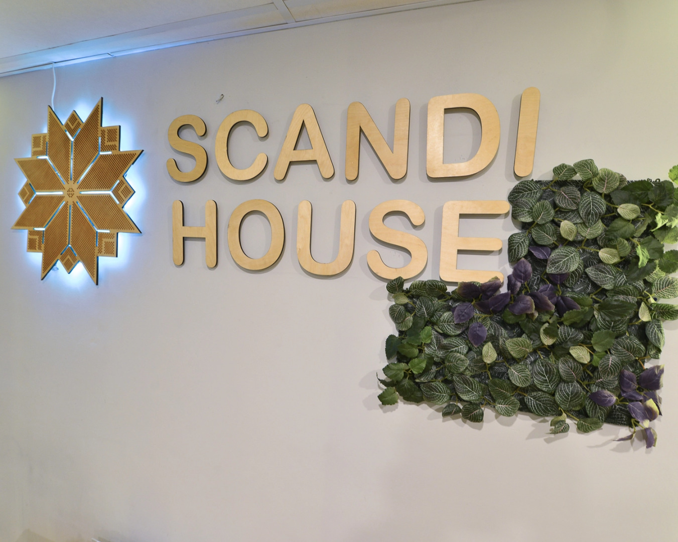 Отель Scandi House