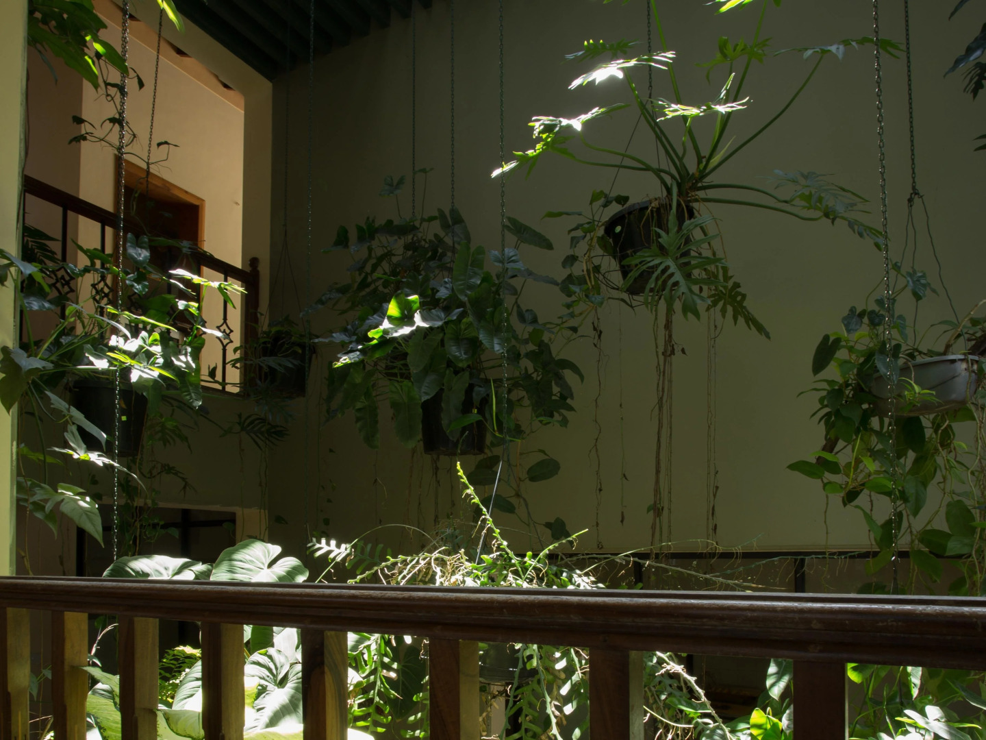 Отель Oak Ray Serene Garden Hotel