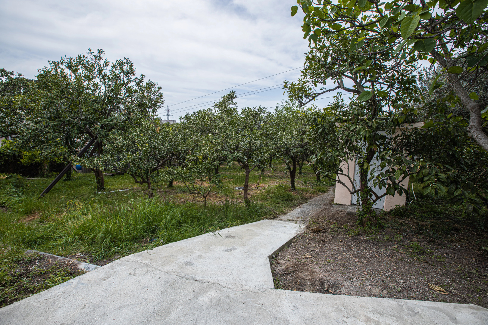 Частный Дом с мандариновым садом