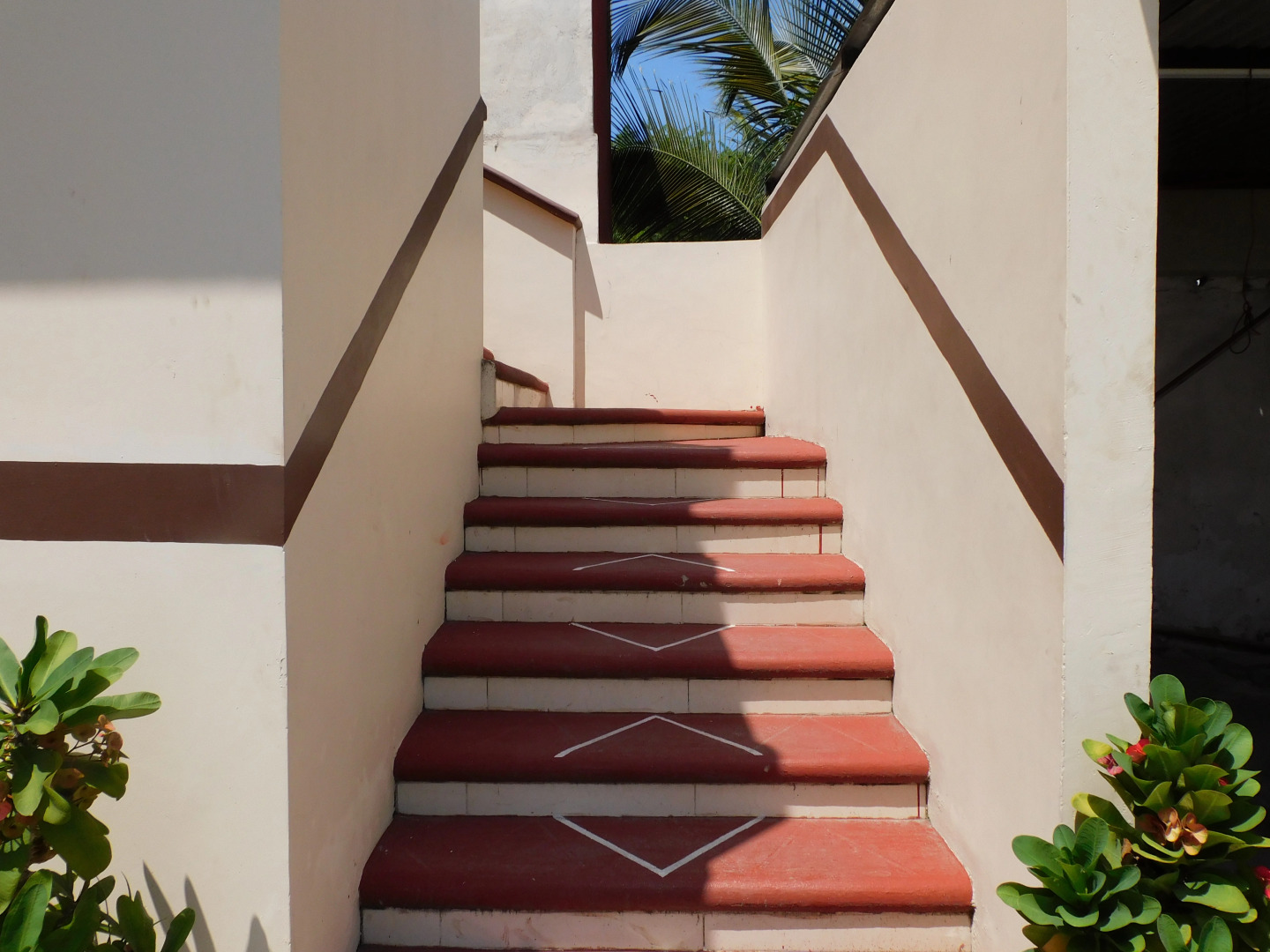 Отель Casa de Huespedes Nayomi By Rotamundos