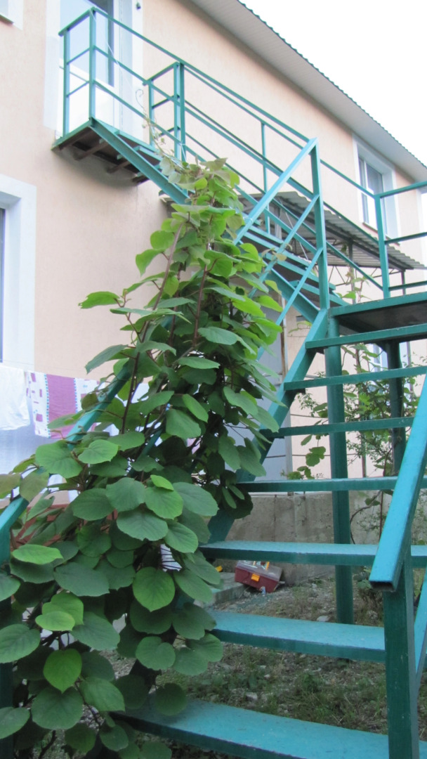 Гостевой дом на Спортивной