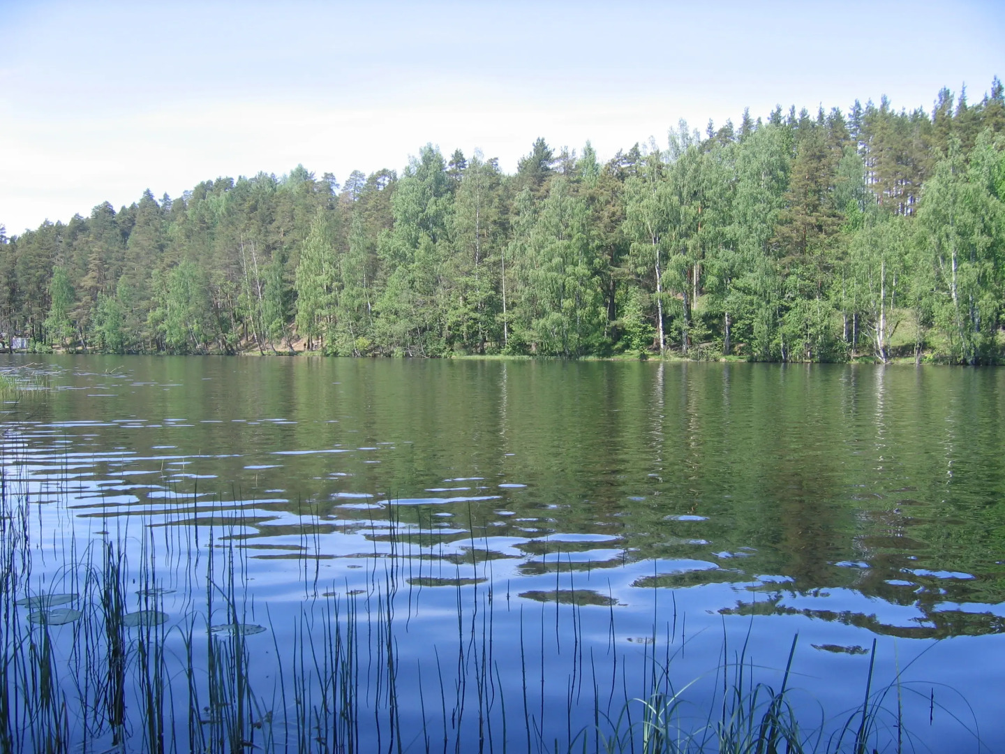 База Отдыха Связист