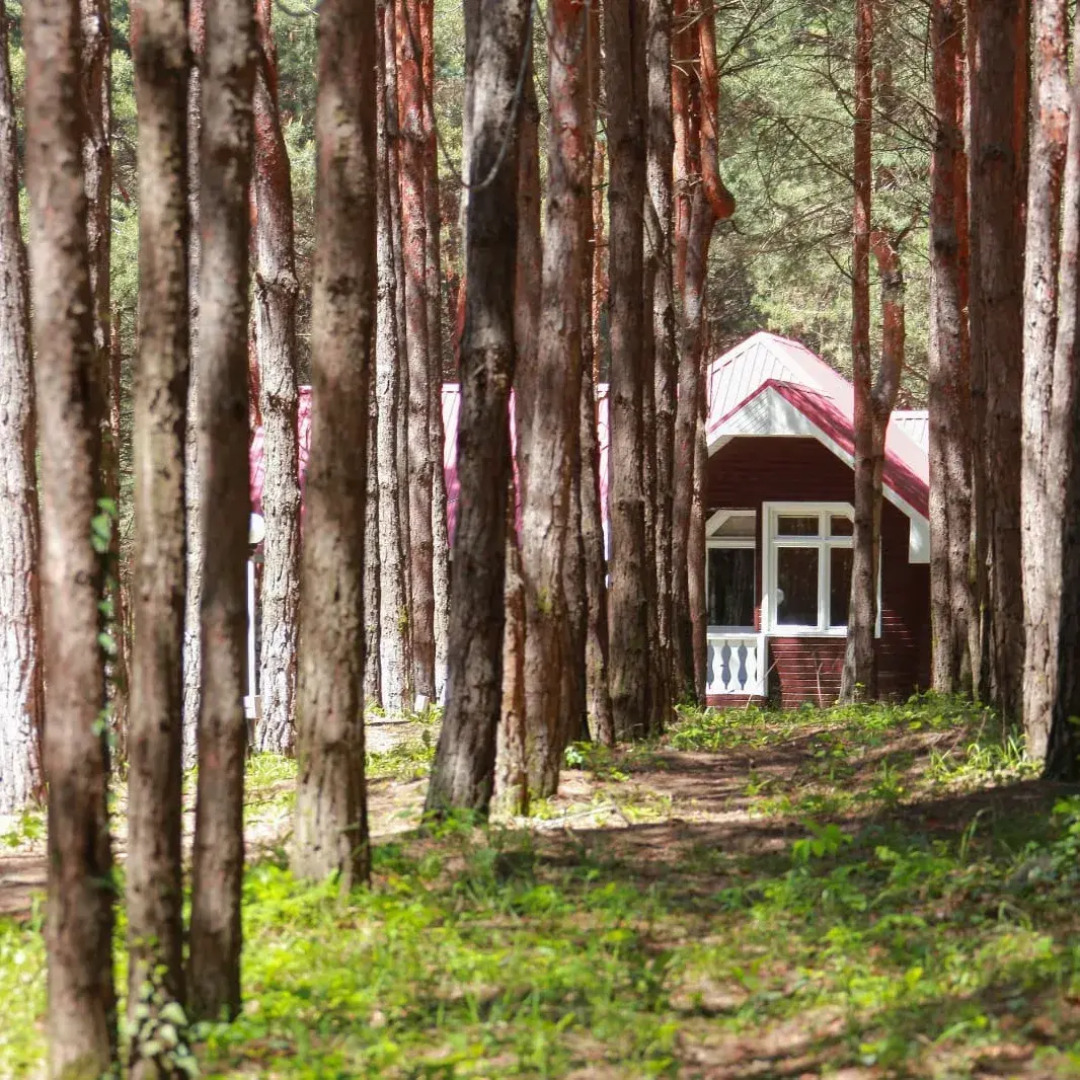 Санаторий Health Resort Narin Qala Resort