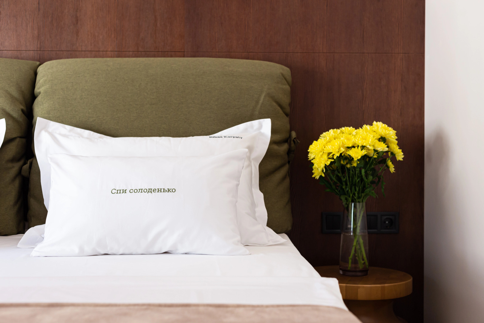 Отель Ribas Karpaty