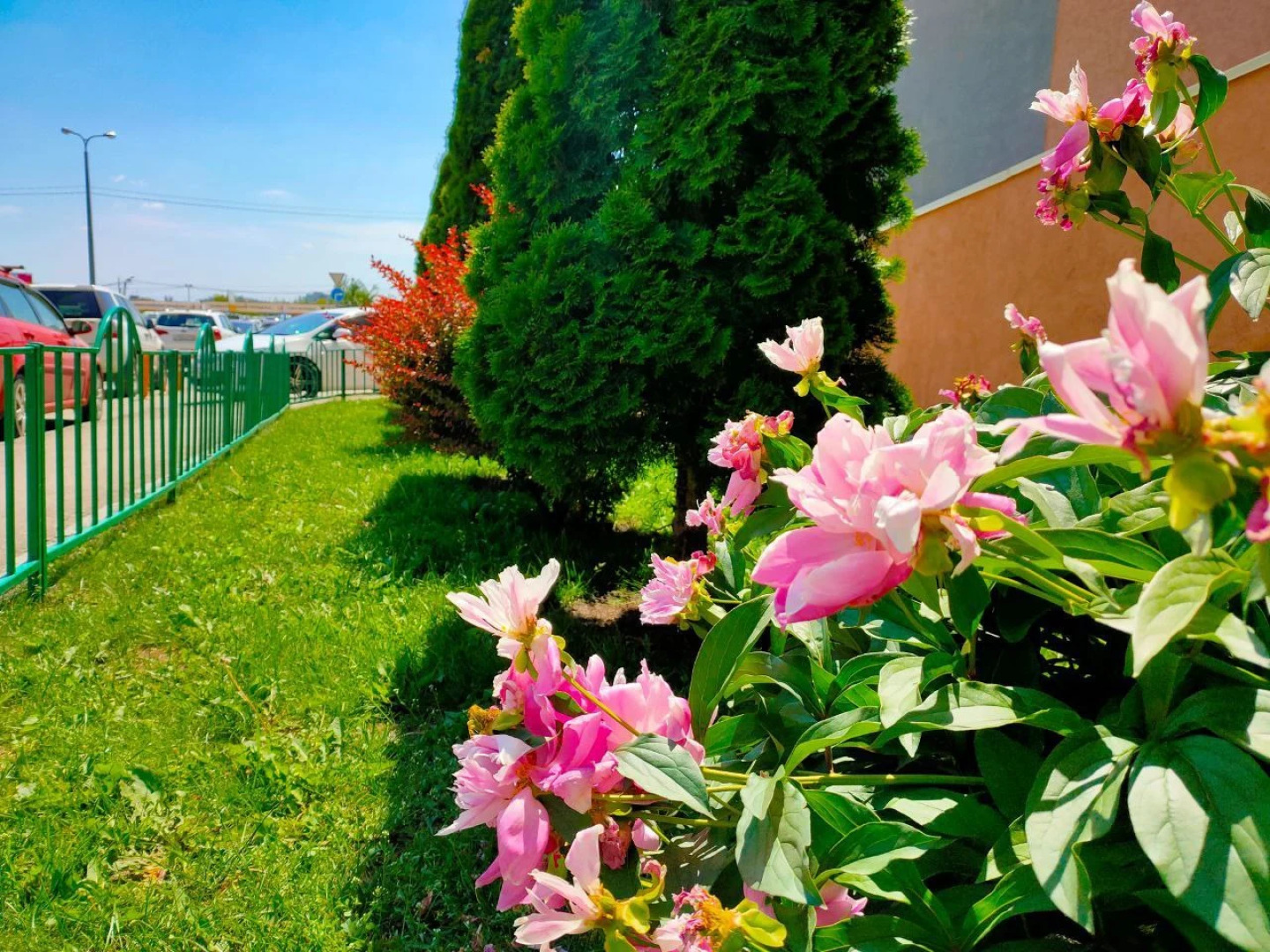 Апартаменты Mango Fresh