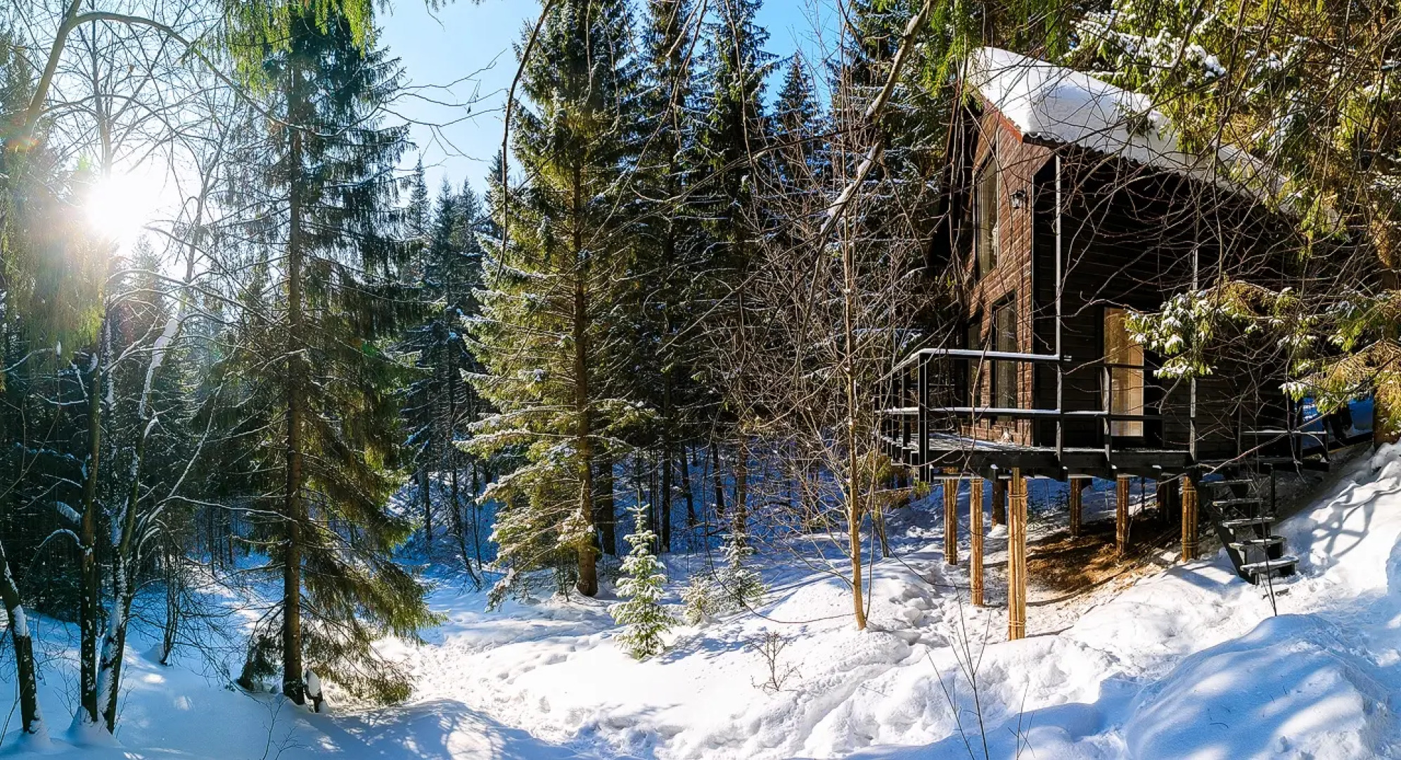 Глэмпинг Опушка Дом среди деревьев