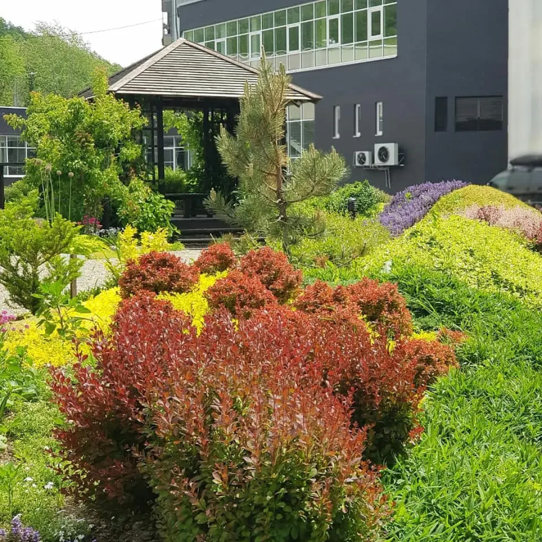 Санаторий Синегорские минеральные воды