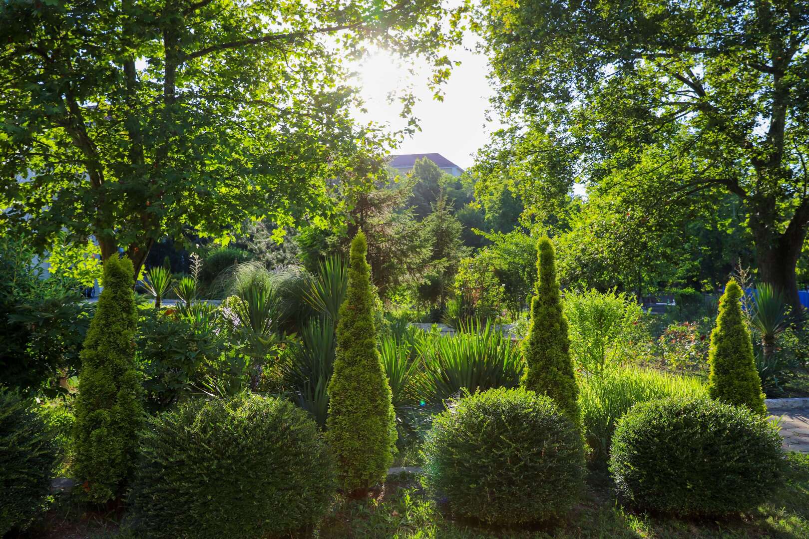 Отель Мореин