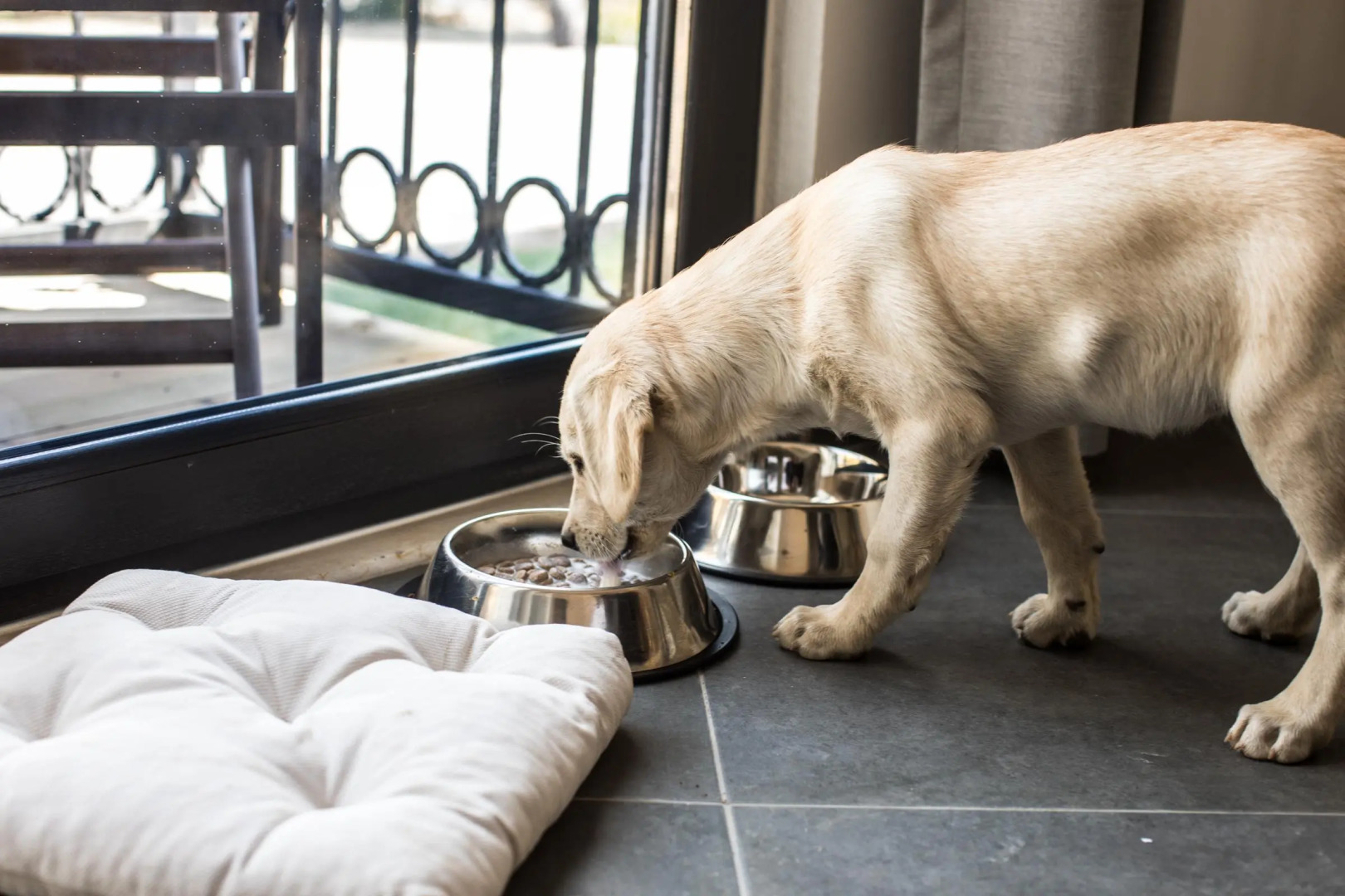 Отель Maya Bistro Beach