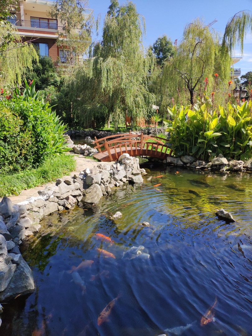 Апартаменты в Дримленд Оазис