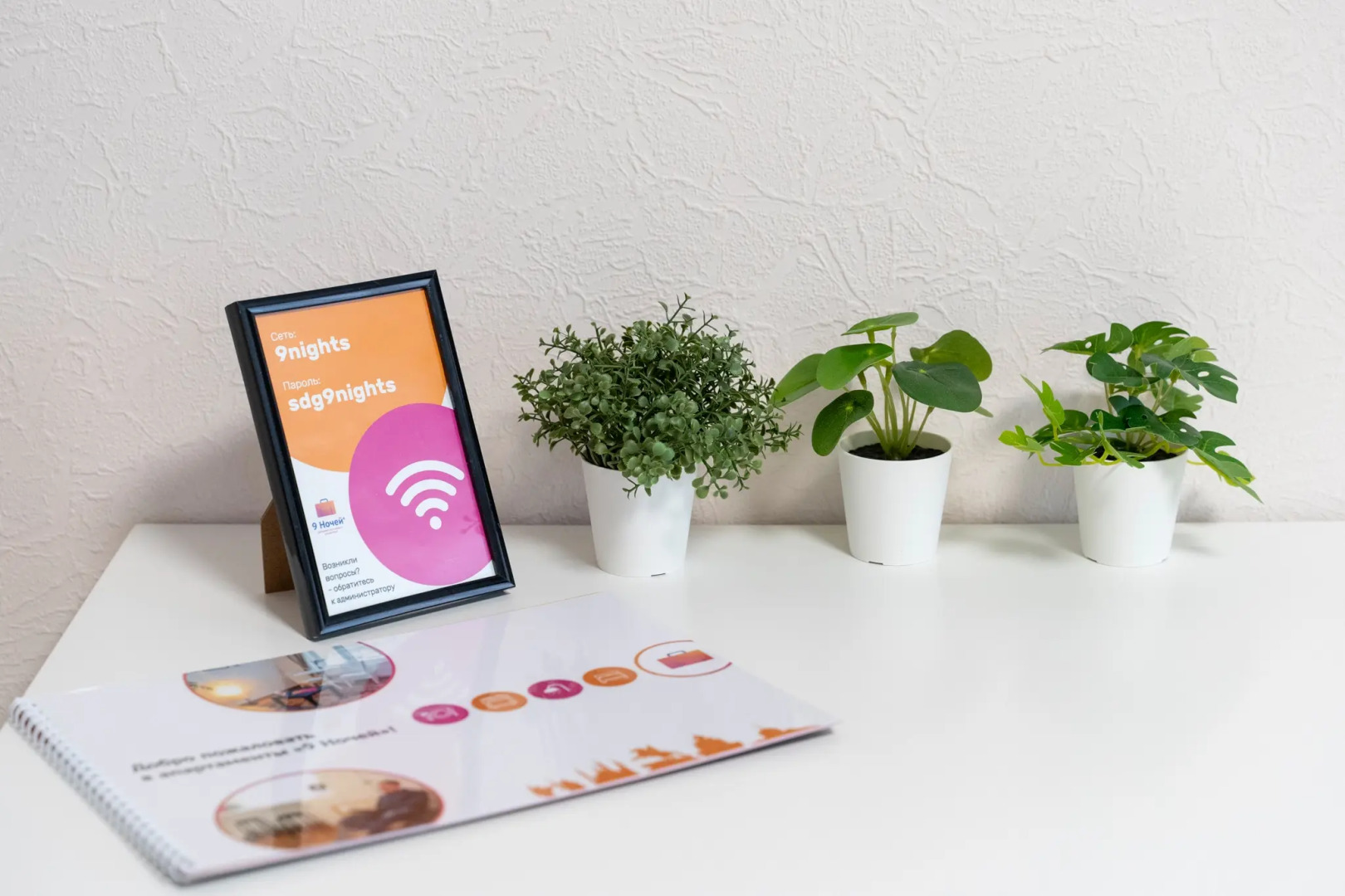 Апартаменты рядом с хвойной рощей