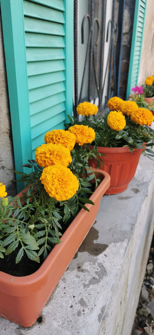 Апартаменты Дом у Реки loft Усадьба на Черниговской