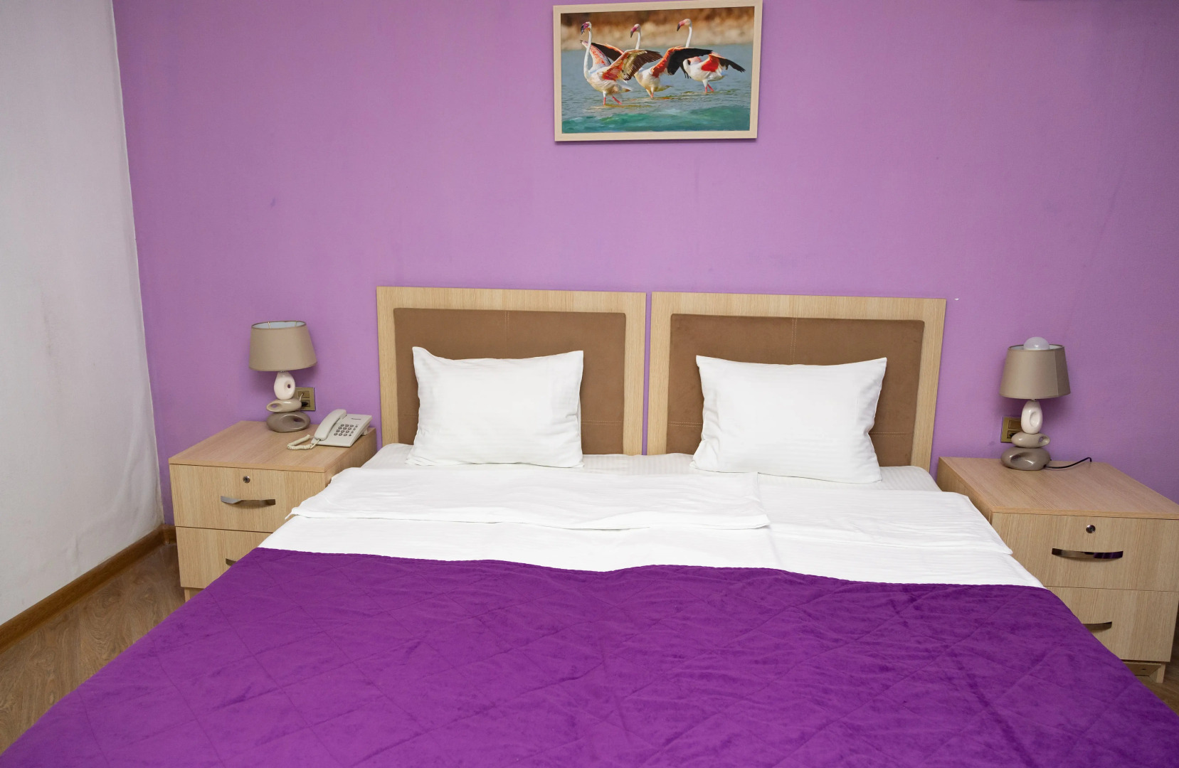 Отель Flamingo Baku