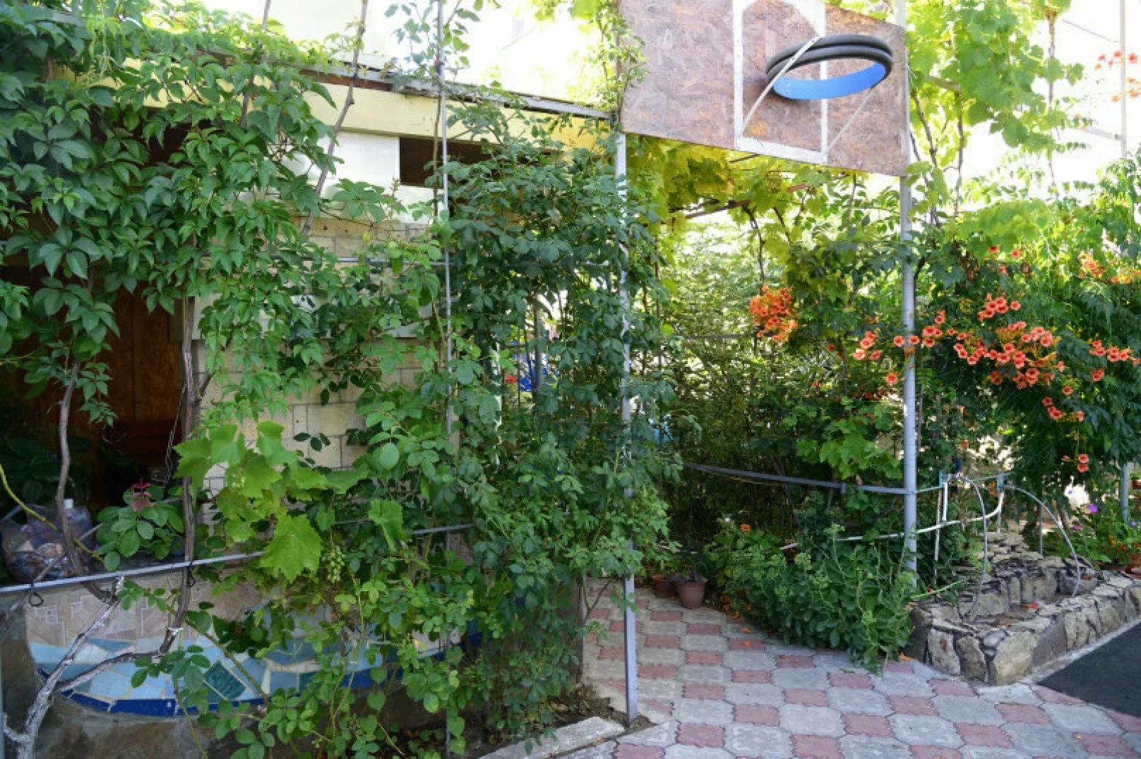 Гостевой Дом Дольче Вита