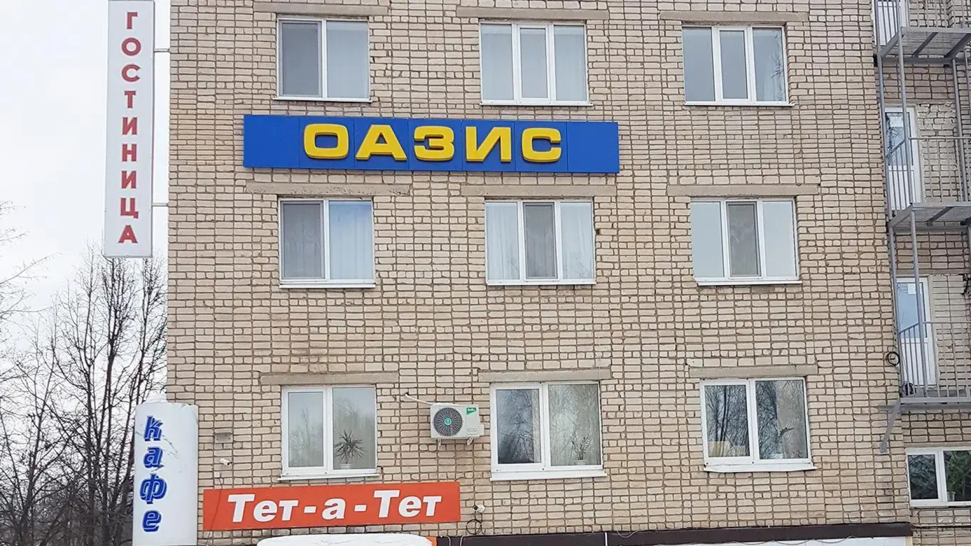 Оазис