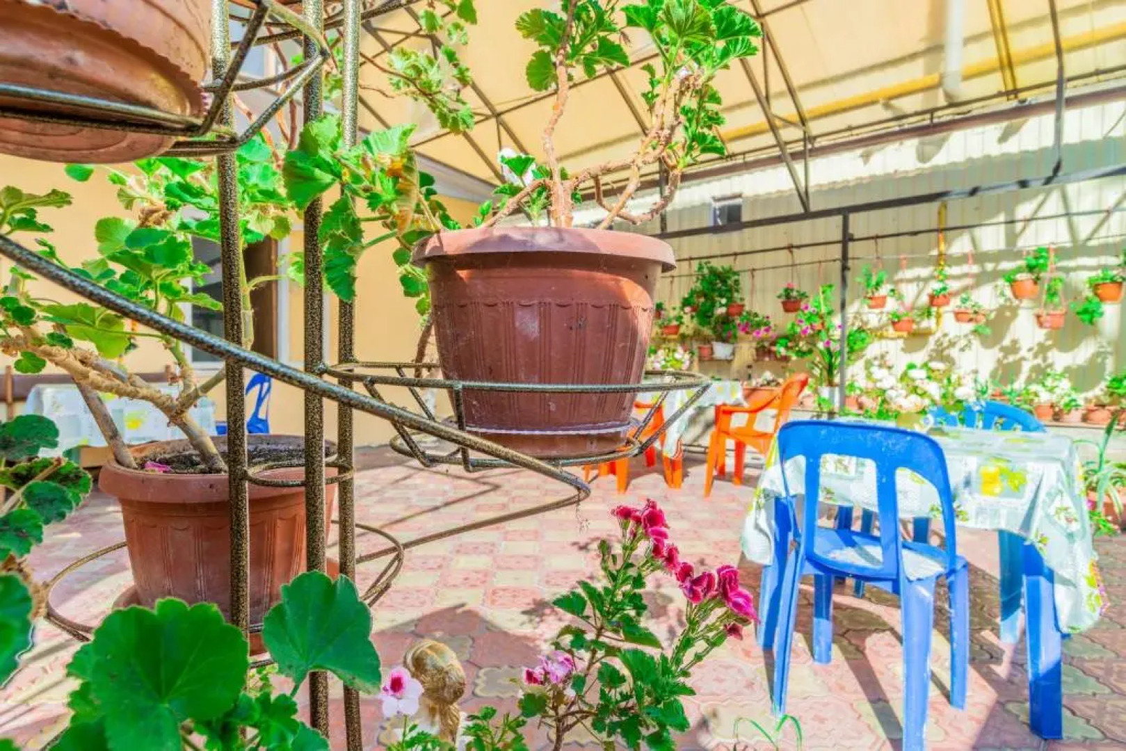 Margarita Guest House