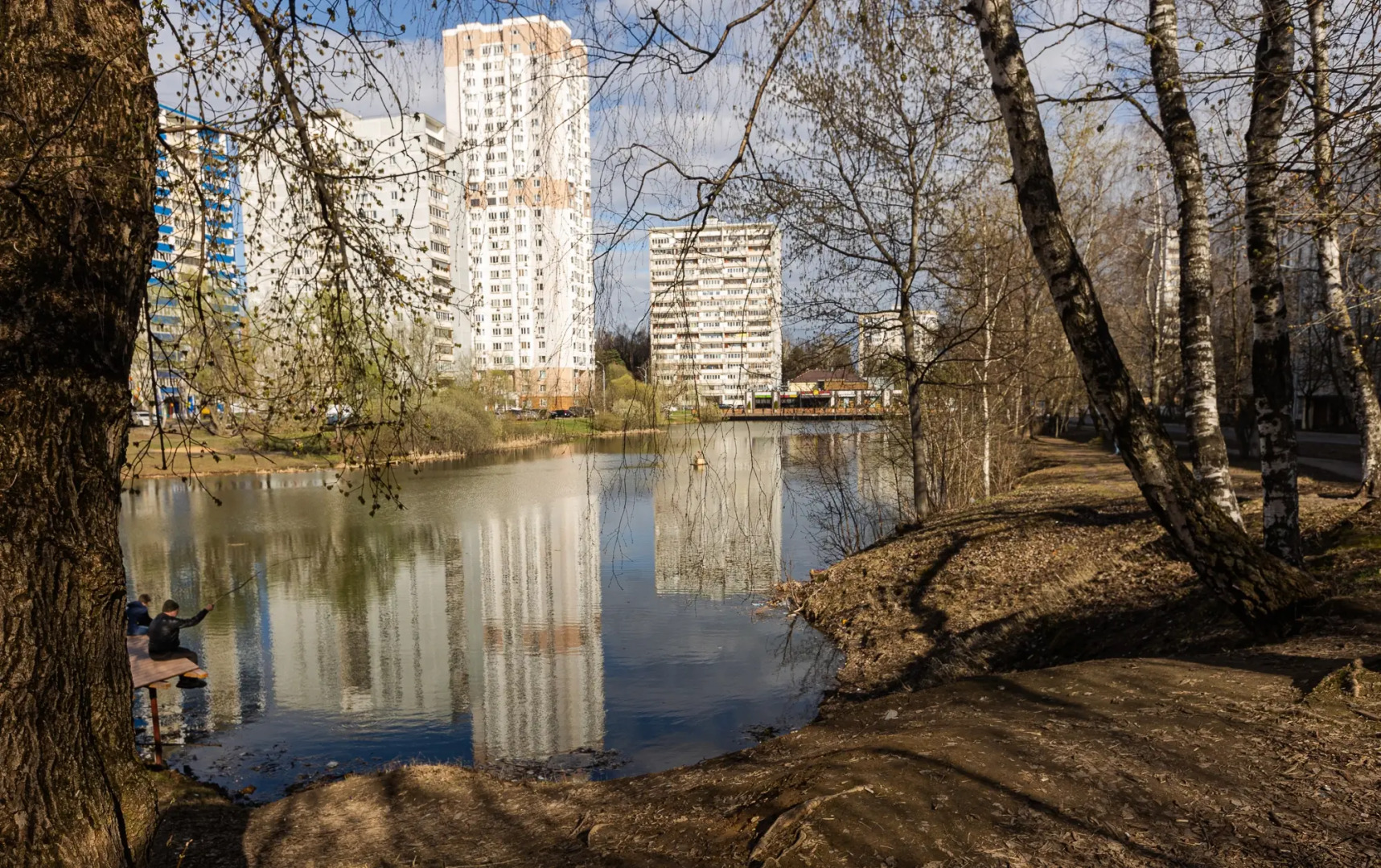 Апартаменты Dark blue от Home24