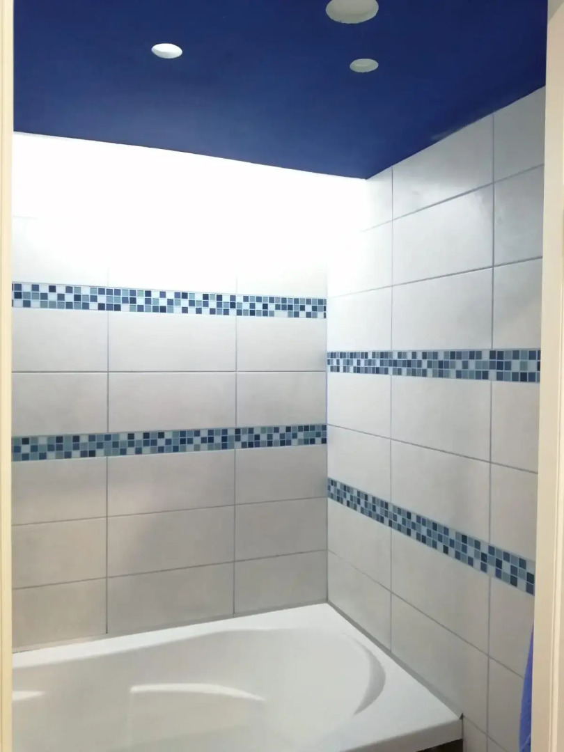 Квартира отличная на Митирева 14А от Горницы