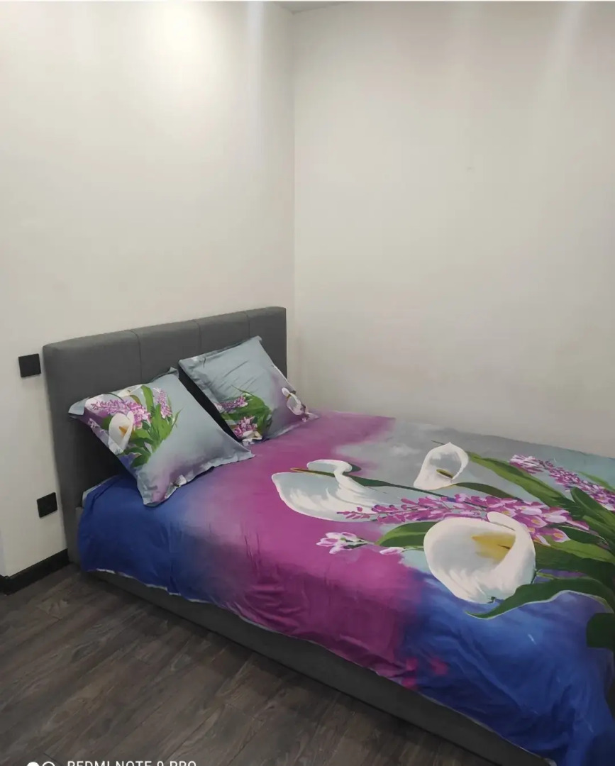 Квартира Студия Пушкинское шоссе 13к1