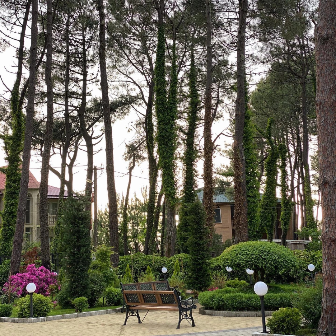 Отель Самшитовая Роща