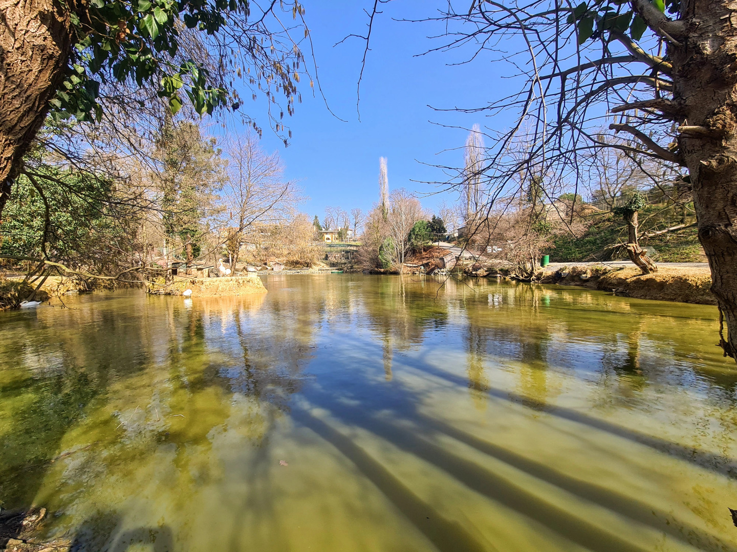 Polonezköy Country Club & Accommodation in the Wildlife Park