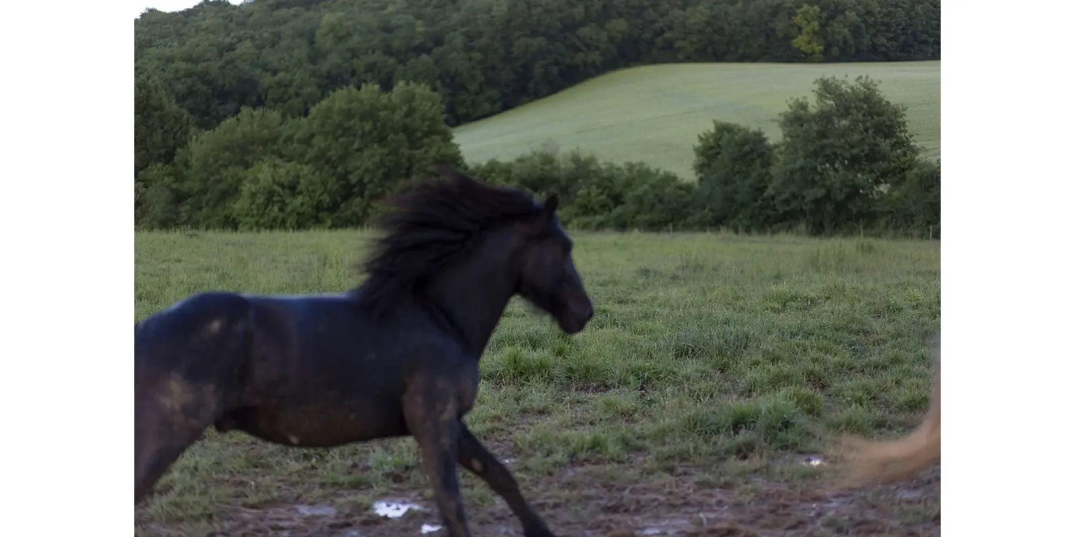 Замок Chateau Marteret