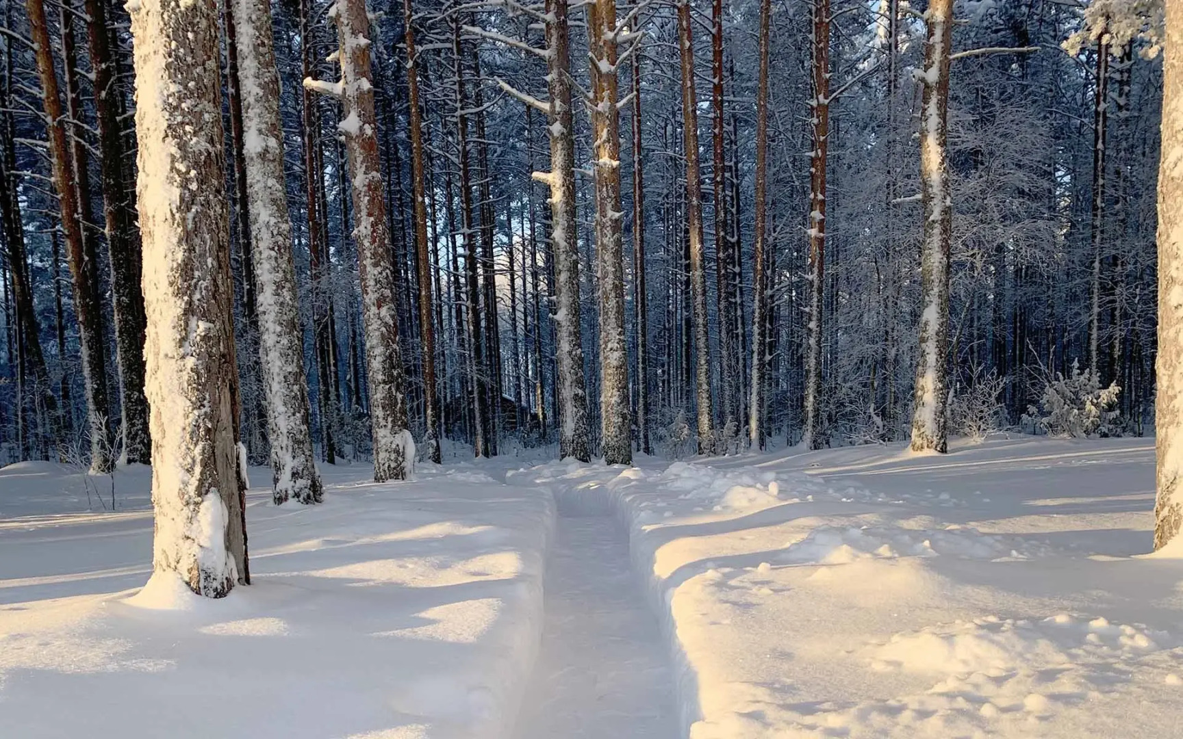 Гостевой Дом Вилла Ранду