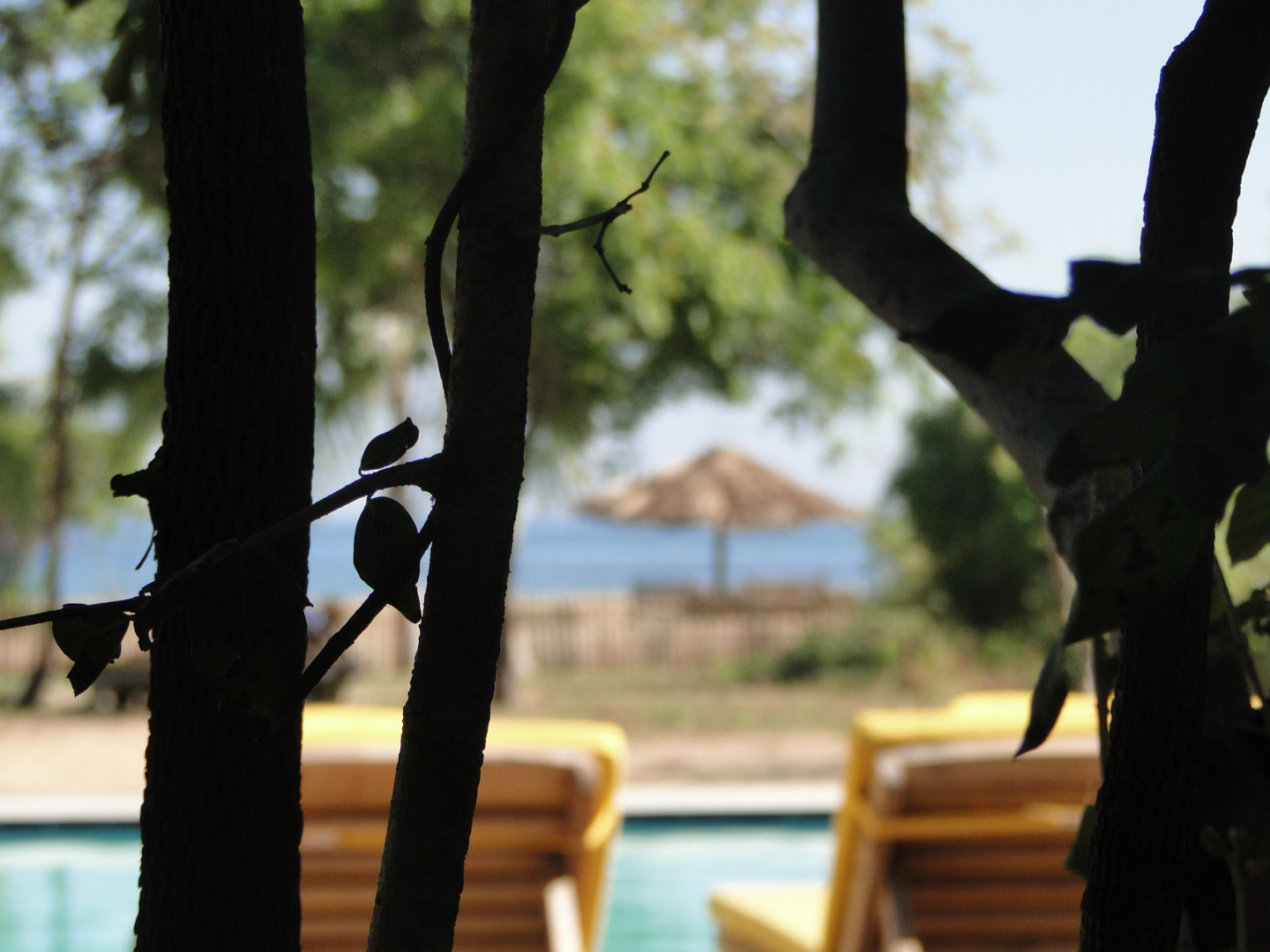 Отель Giman Free Beach Resort