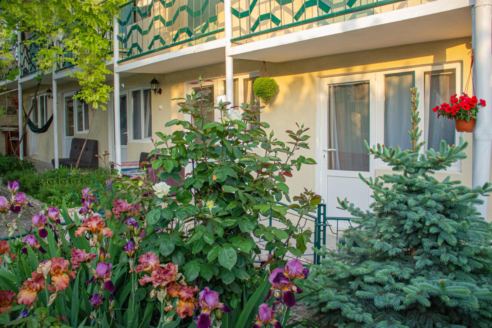 Гостевой дом Чайка