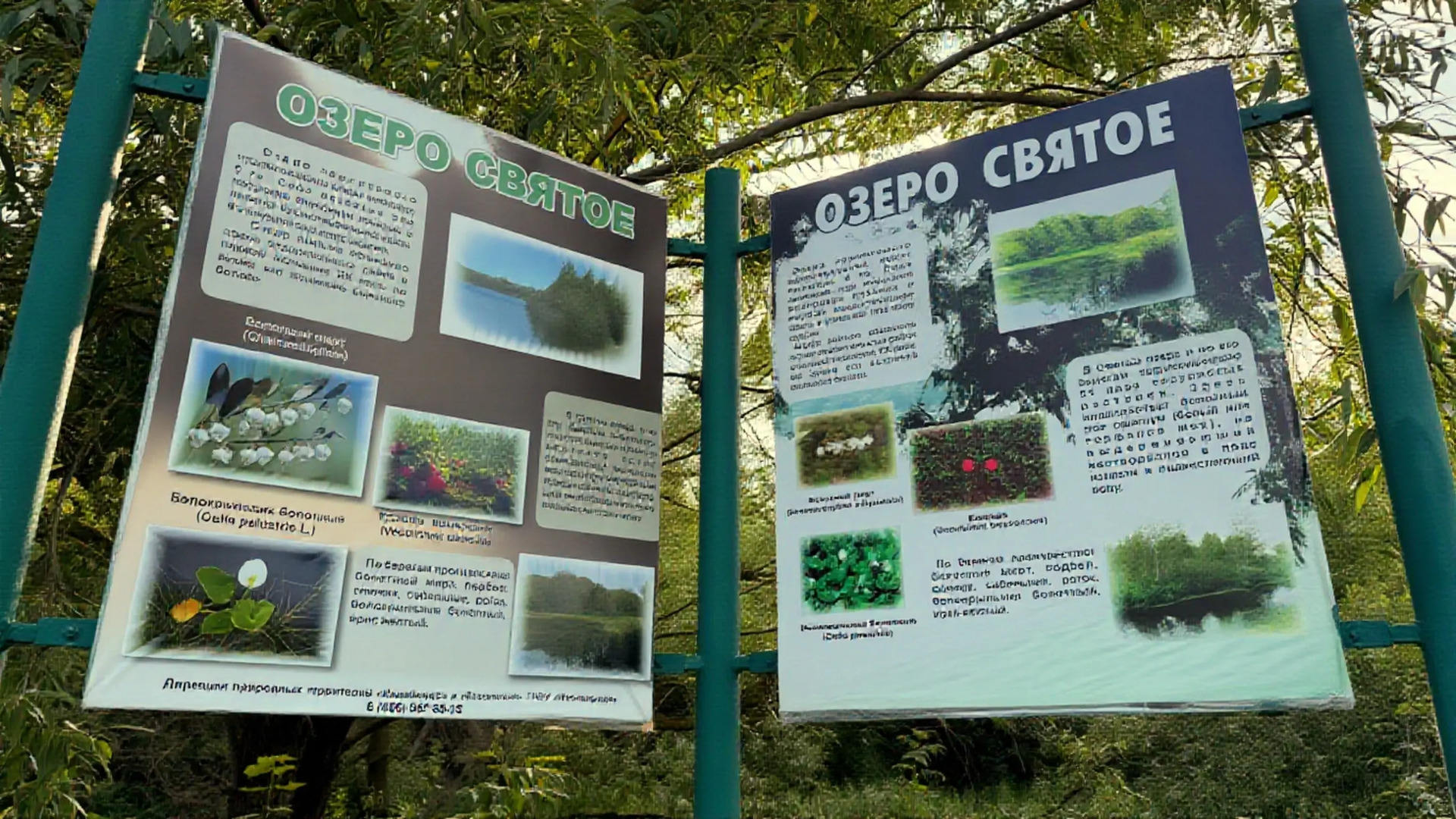 Квартира Svoy Lux