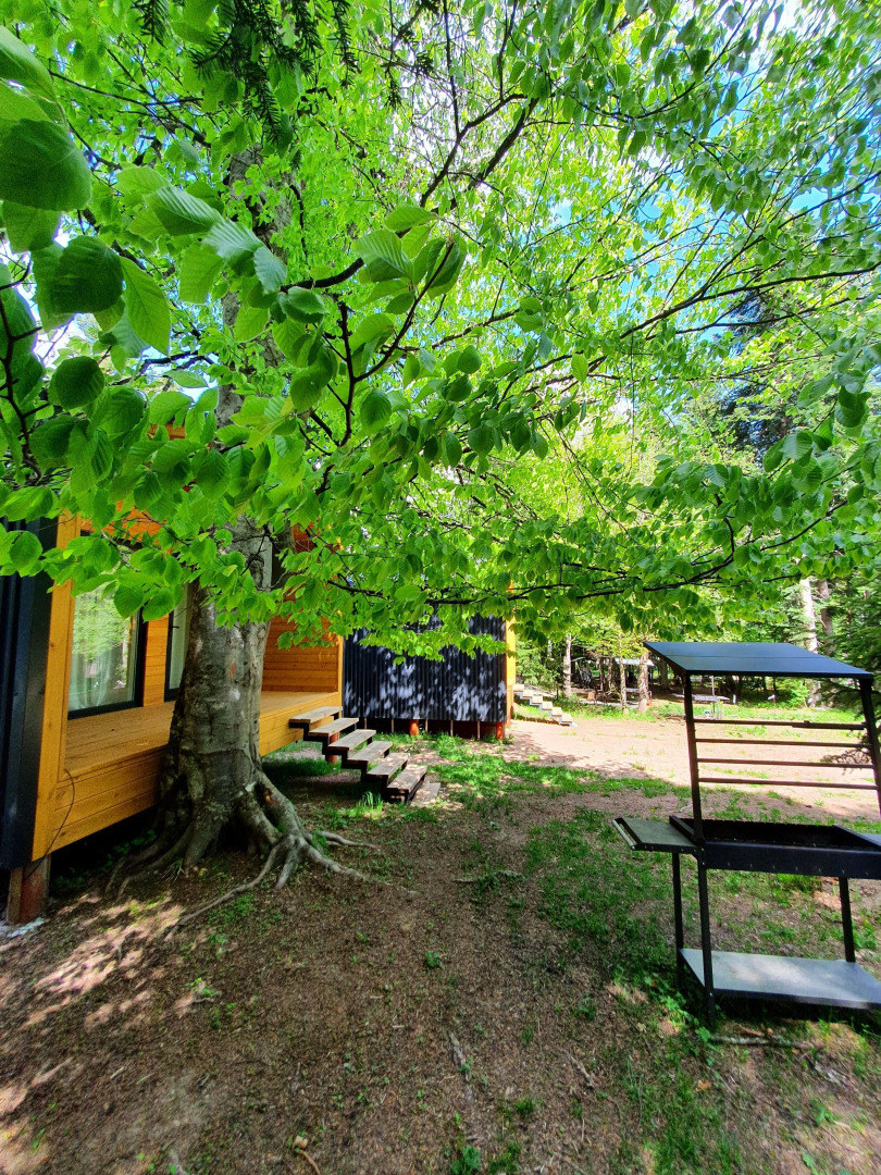 Шале Сияние Family Сlub