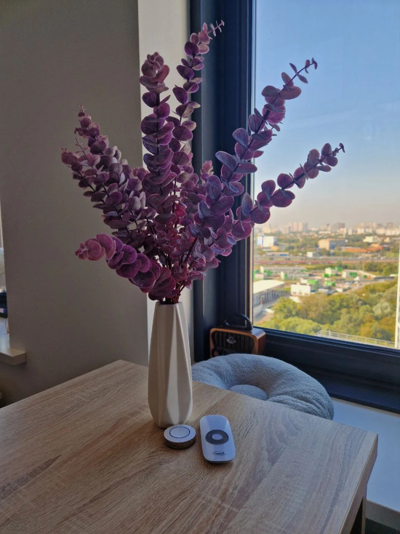 Апартаменты Penthouse Panorama