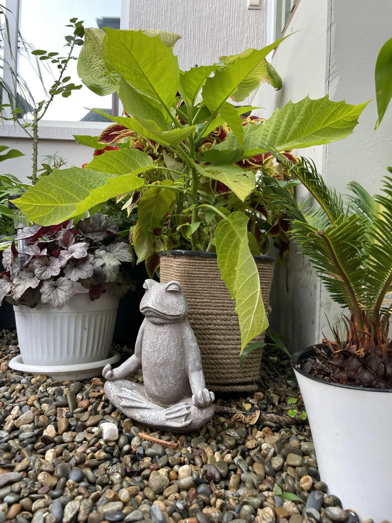 Гостевой дом Каса де ла Луз