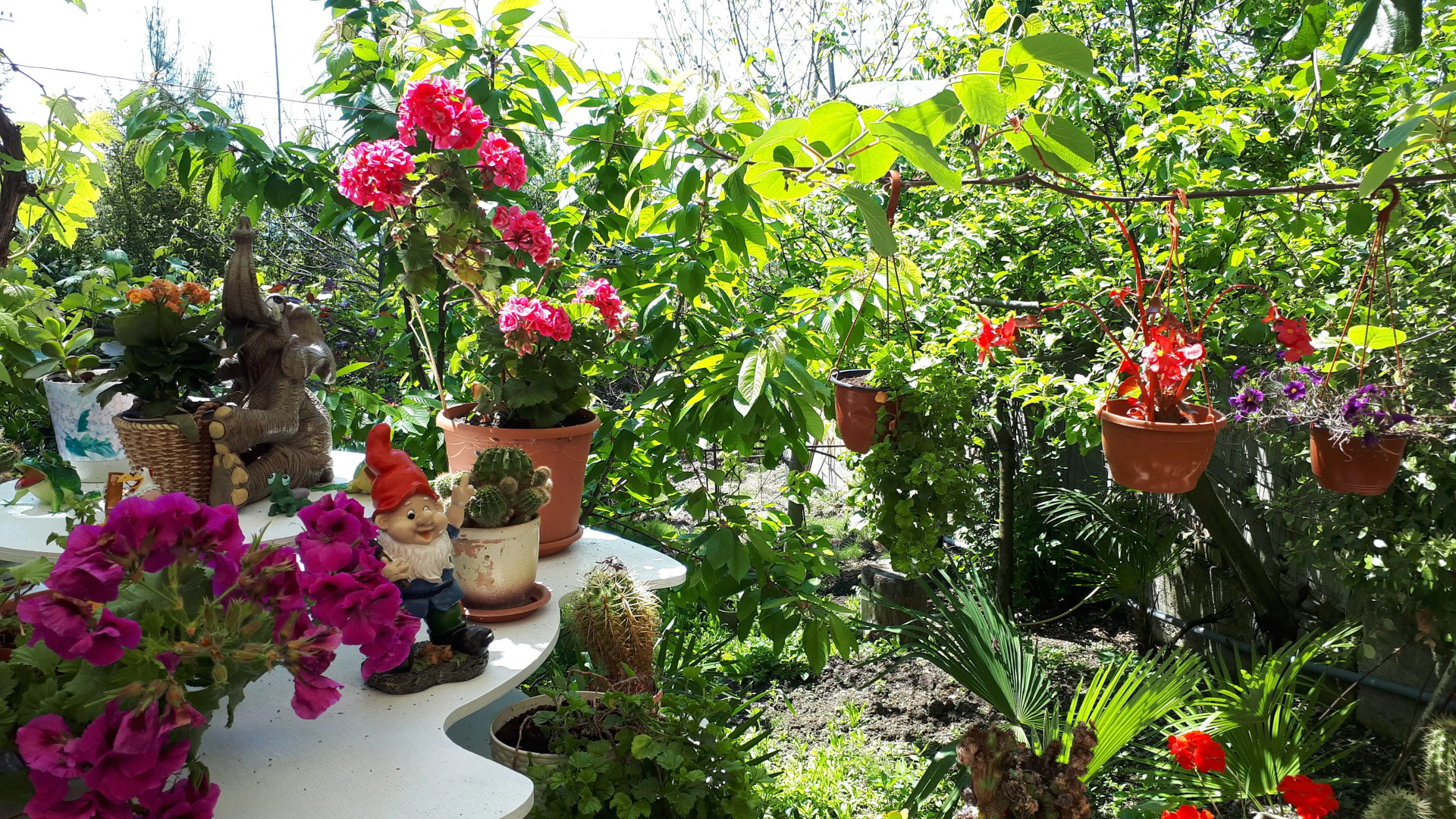 Гостевой дом Райский уголок