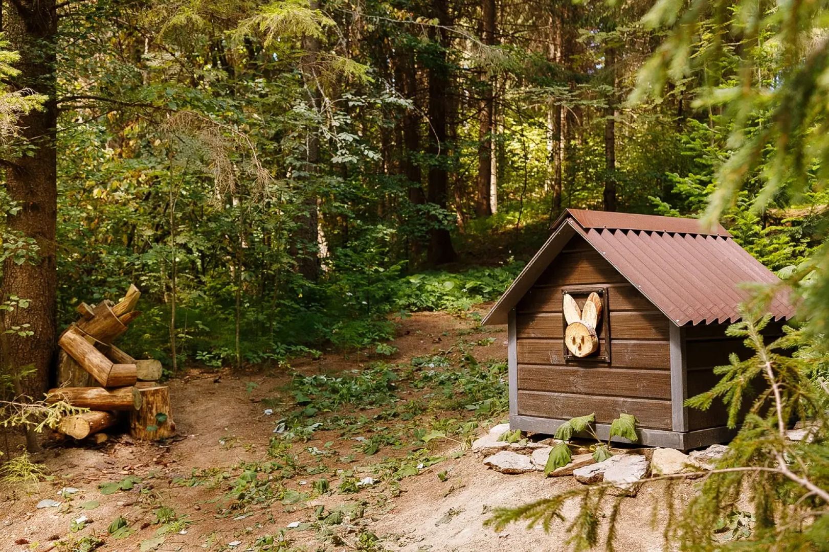 Глэмпинг Опушка Дом среди деревьев