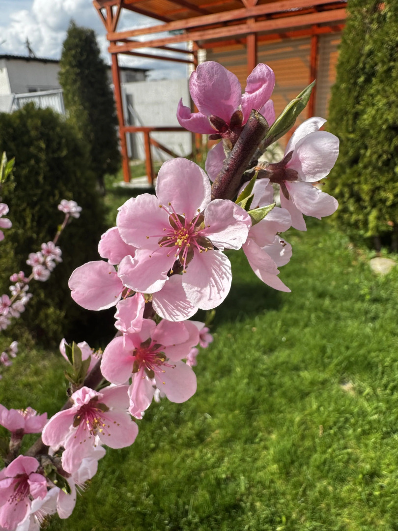 Частный дом Роскошный гостевой дом KaliLaskaBY, в сердце Витебска