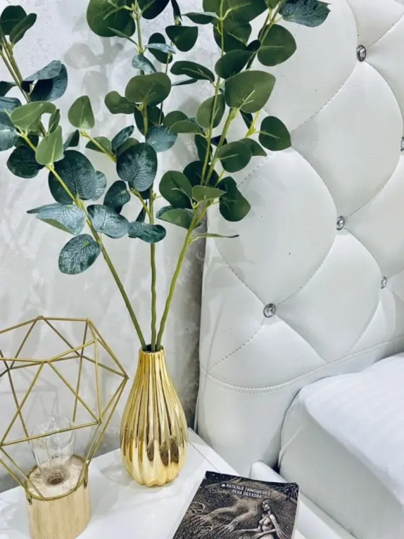 Студия Лимон возле парка и лебединого озера