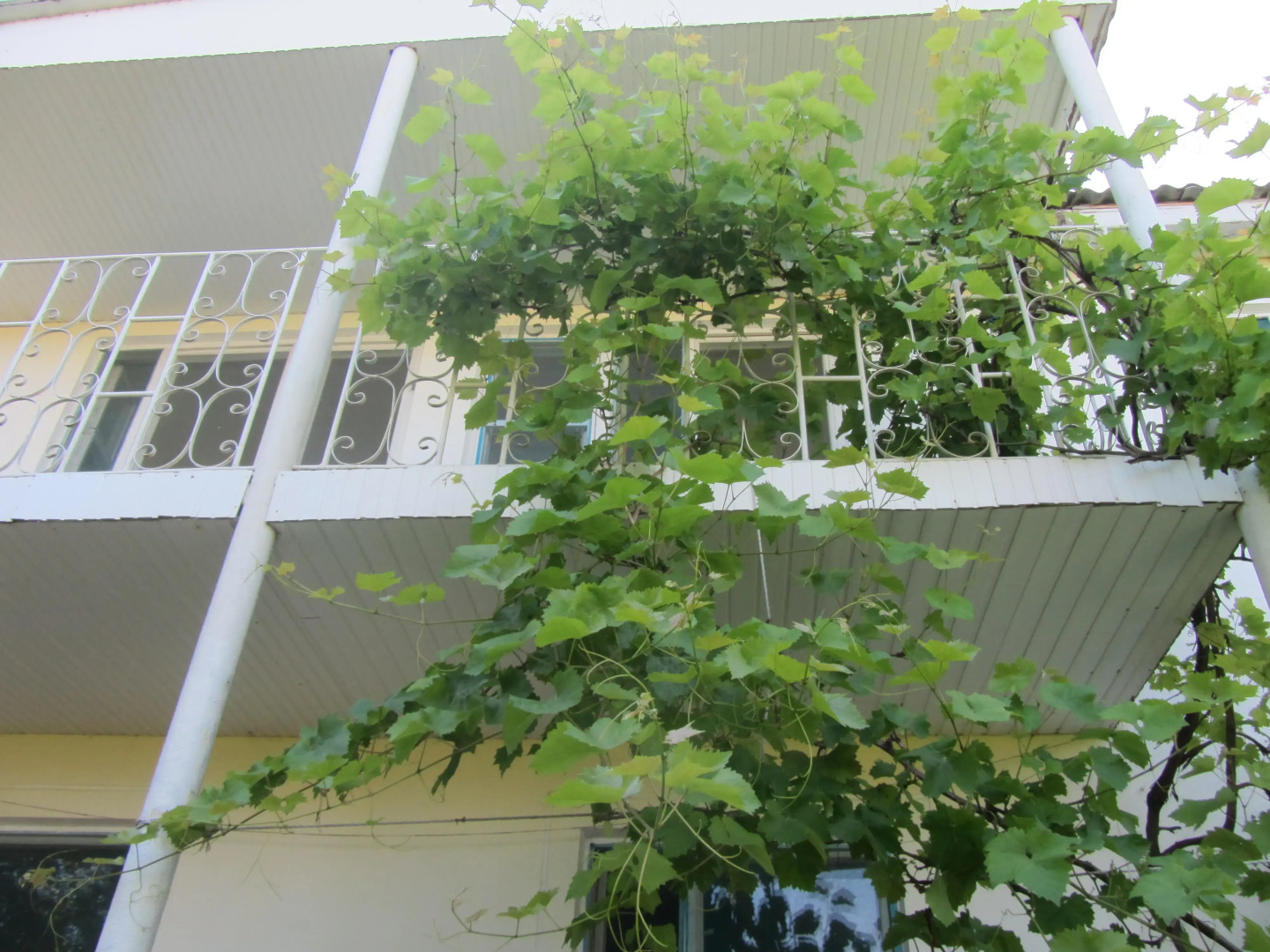 Пансионат Крымские Дачи