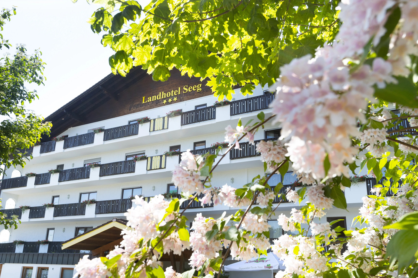 Отель Landhotel Seeg