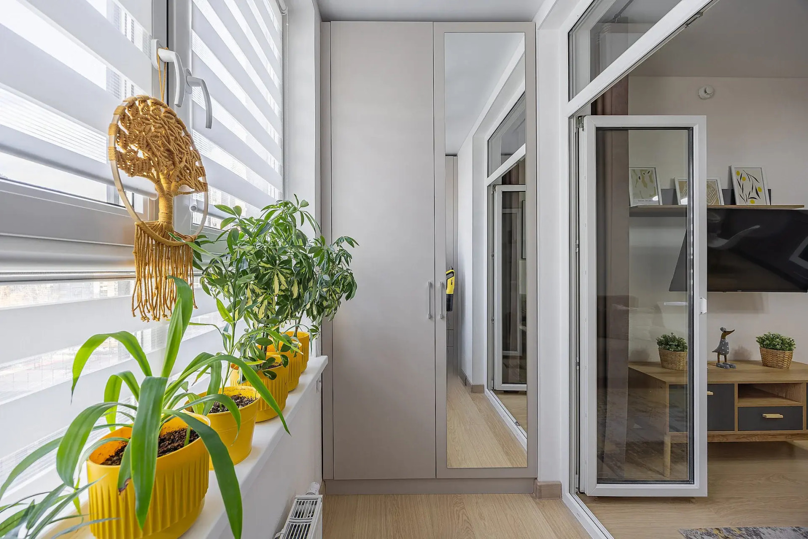 Квартира Уютная на Оранжерейной