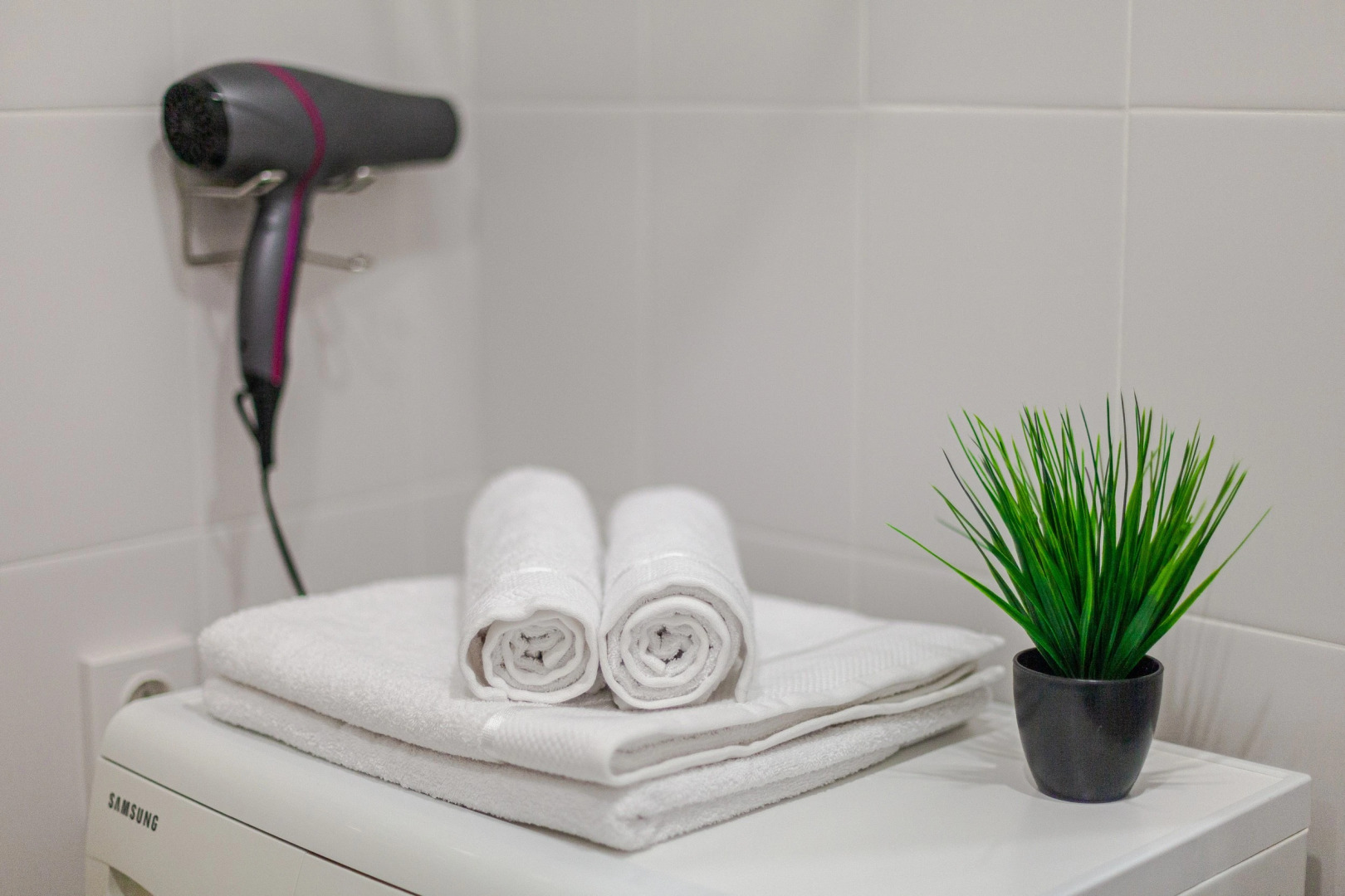 Квартира видовая у Ботанического сада