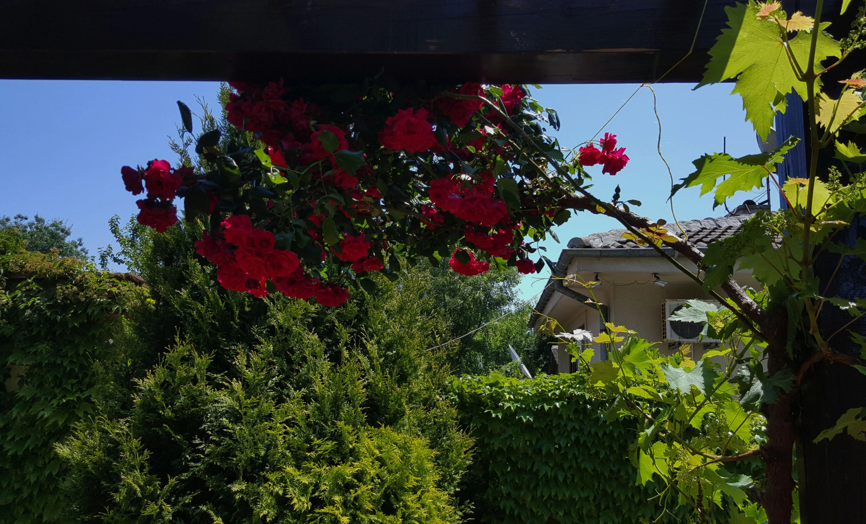 Апартаменты Venti Club Lozenets