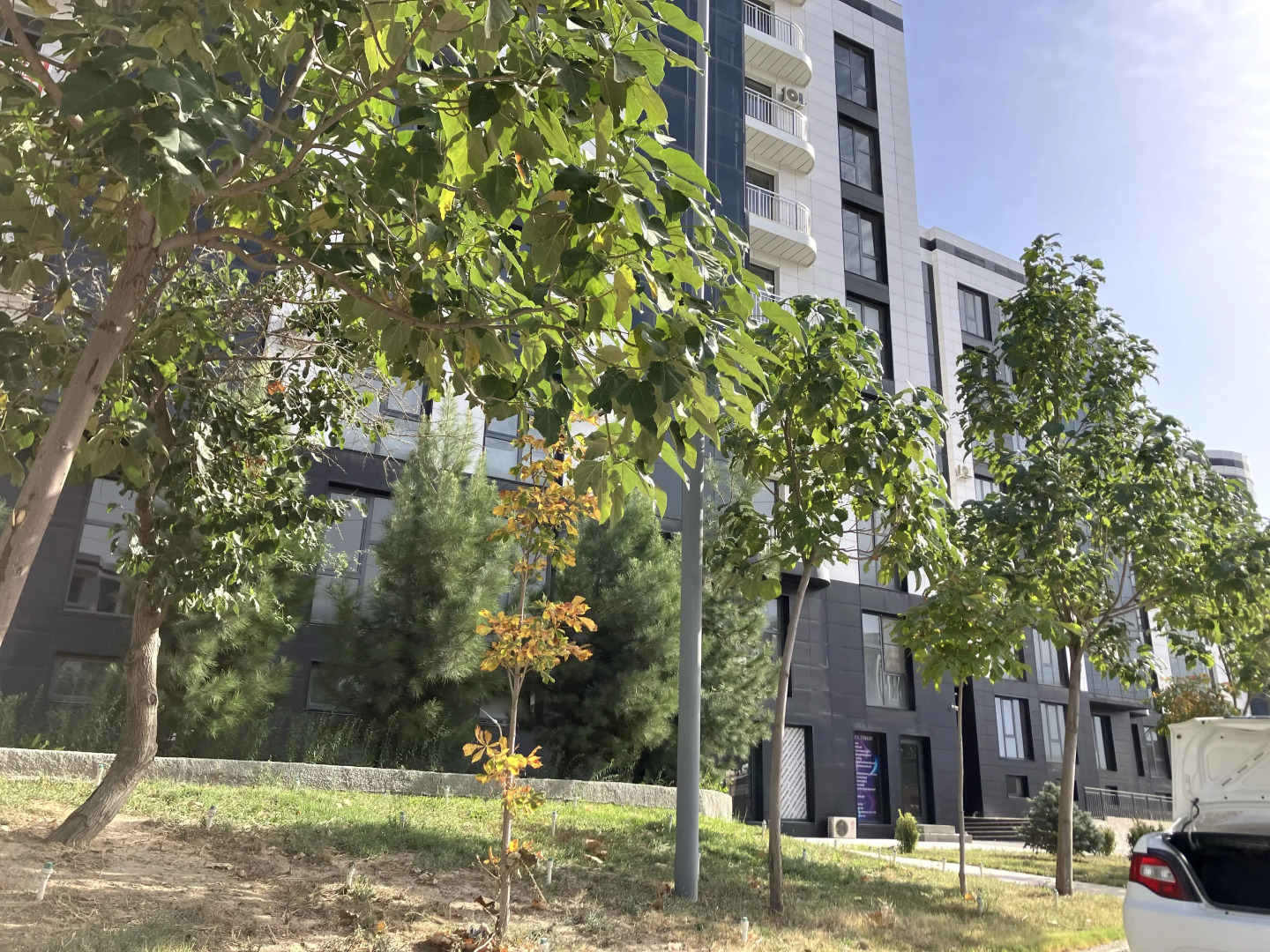 Квартира большая, светлая и уютная