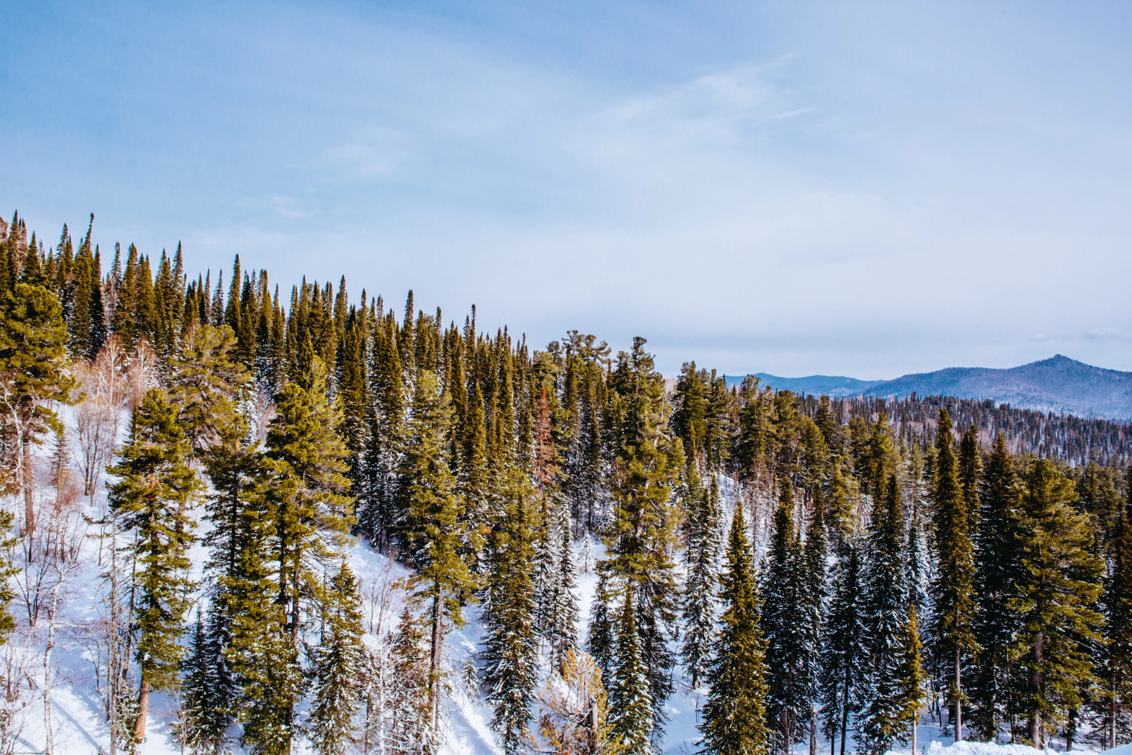 Отель Снежный