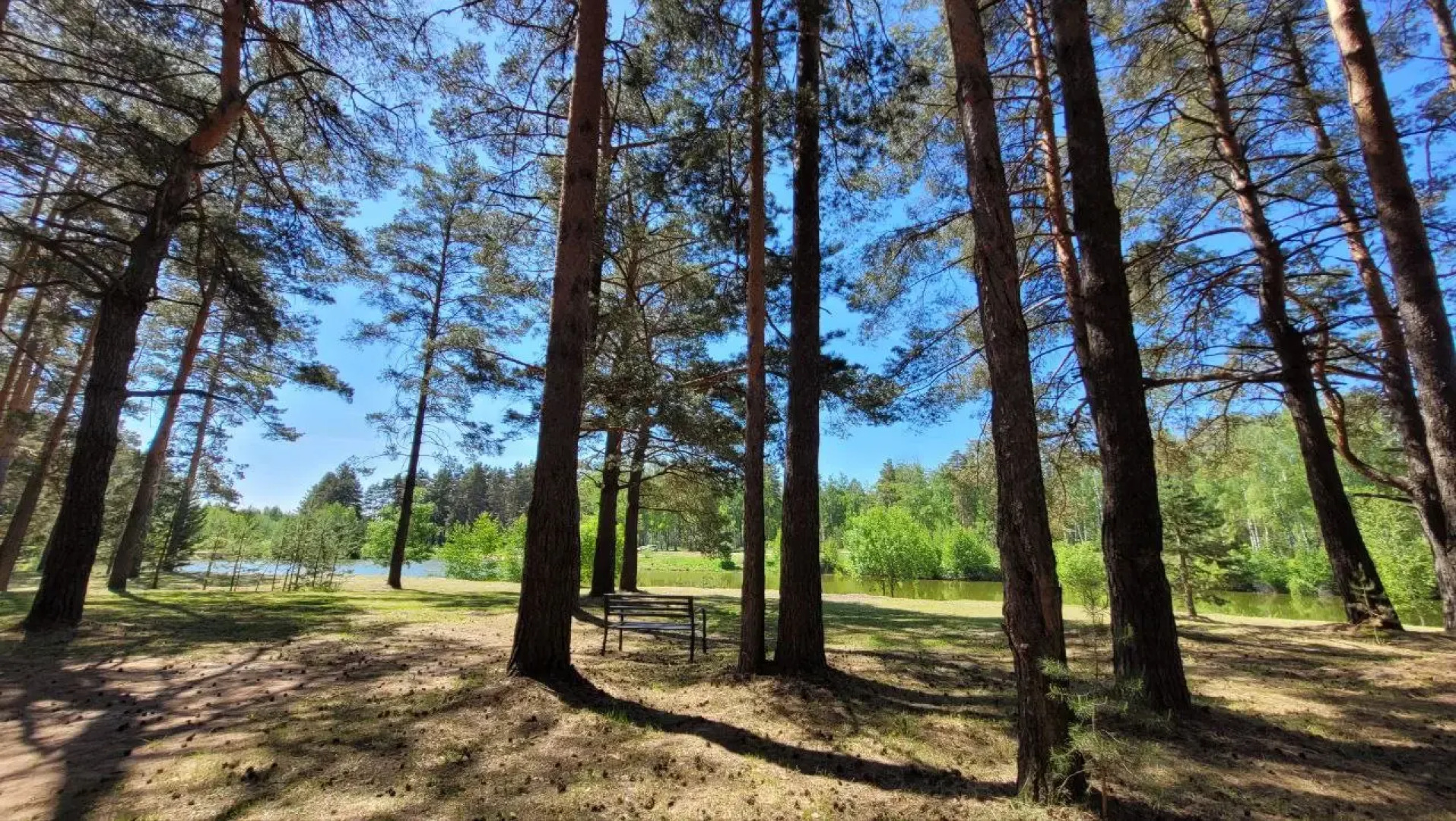 База отдыха Vonavi Village