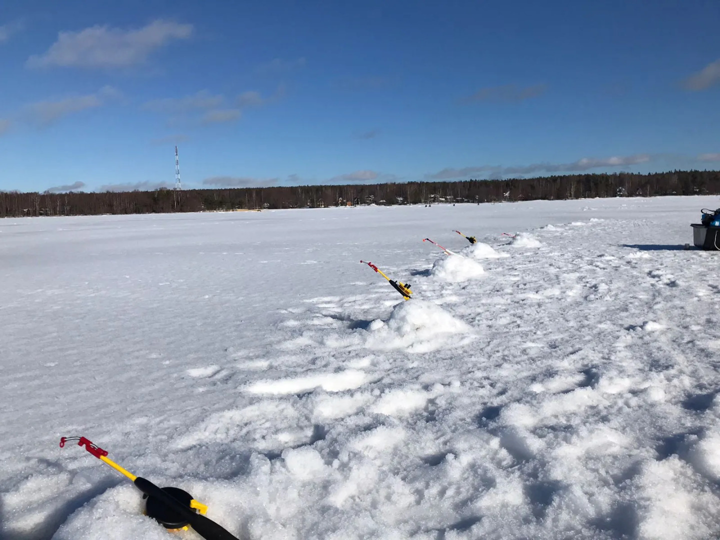Частный дом в Вязах 1