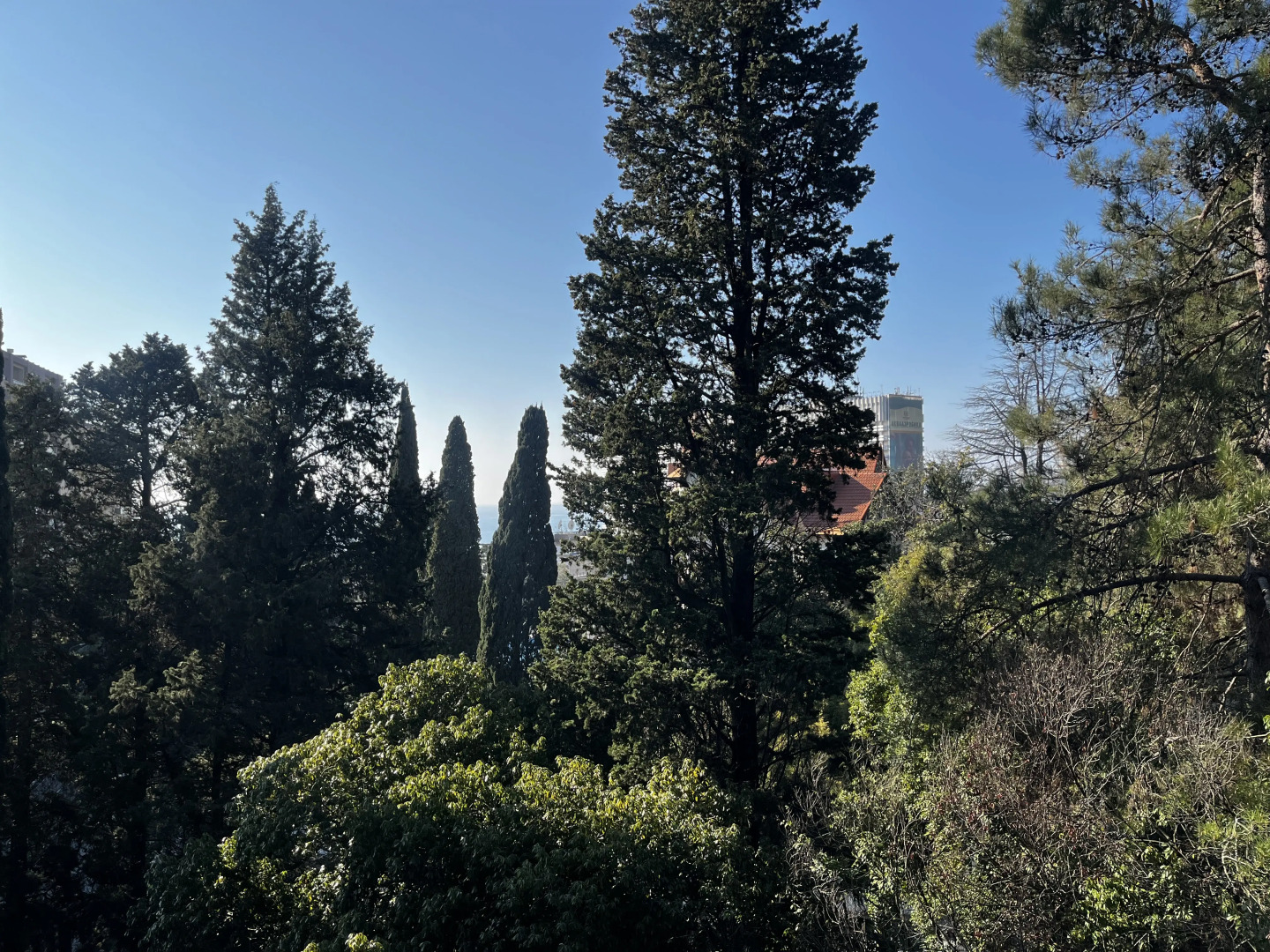 Апартаменты Светлана 2