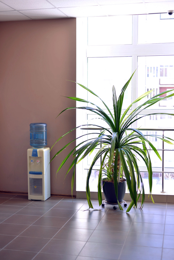 Отель Званица